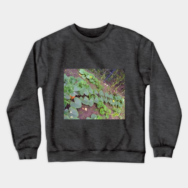 Pumpkin Blossom Foliage & Fruit Crewneck Sweatshirt by Hajarsdeco